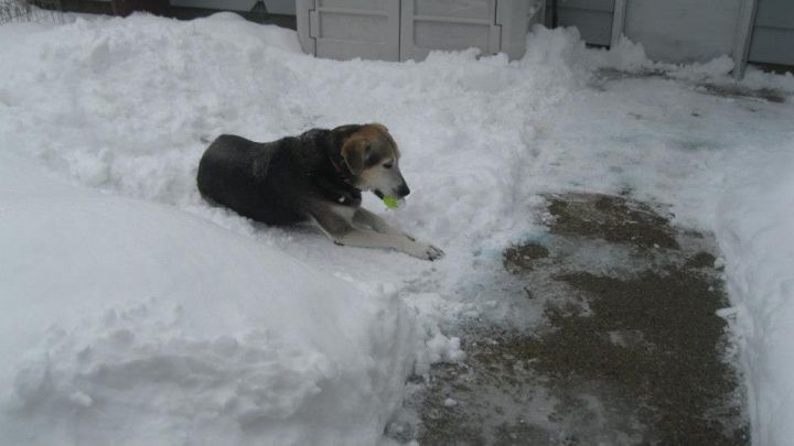 I like the snow!